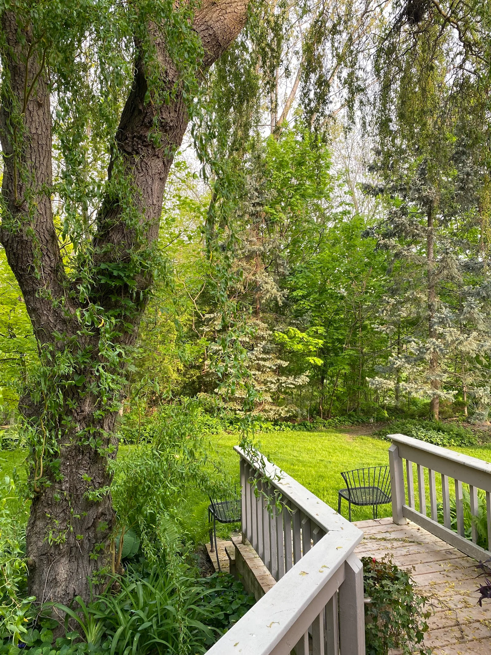 Applewood Hollow Bed & Breakfast